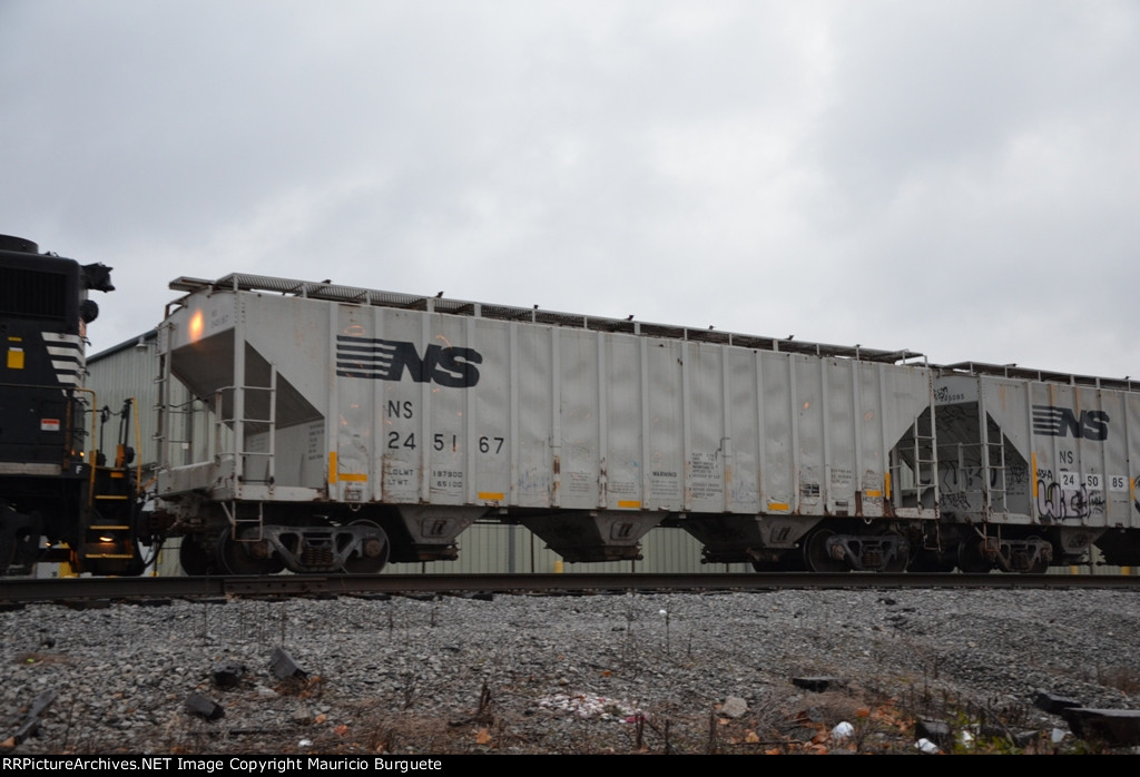 NS Hoppers